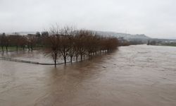 Diyarbakır’da sağanak sonrası dereler taştı, tarım arazilerini su bastı