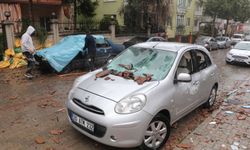 Denizli'de kuvvetli rüzgar; ağaçlar devrildi, çatılar uçtu