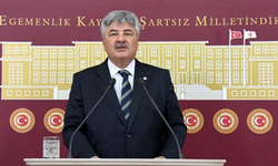 Balık yetiştiricilerinin sorunları TBMM gündeminde