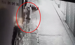 Süs ağacı çalınan iş yeri sahibi: Özür dilerse şikayetçi olmayacağım