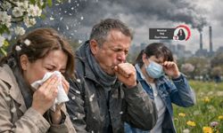 Hava kirliliği arttıkça alerji artıyor