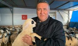 Gürer: “17 Bin Kilometre Öteden Et İthalatı”