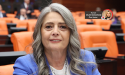 CHP'li vekillerden tepki: "Can güvenliğim yok dediğinde neden korunmadı?"