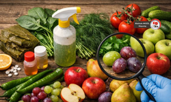 “Yılda 420 bin kişi güvenli olmayan gıdalar nedeniyle ölüyor”