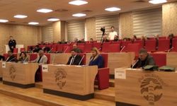 Şile Belediye Meclisi'nde 'barınak' tartışması: Sokakta hayvan kalmadı ki veterinerlik olarak hepsini öldürdük