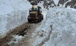 Van ve Hakkari’de 121 yerleşim yeri ulaşıma kapandı