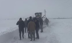 Kars'ta kara saplanan 12 araç ve içindekiler kurtarıldı