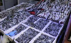 Ramazan ayı ve bayramda balık satışları düştü