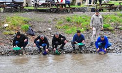 Sosyal medyada toplanan altın avcıları, yağışa rağmen İzmir'de derede altın aradı