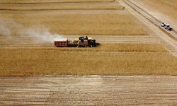 Çiftçilere 8,7 milyar lira tarımsal destekleme ödemesi bugün yapılacak