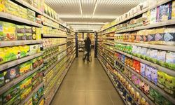 Mevsim etkilerinden arındırılmış özel kapsamlı TÜFE şubatta aylık yüzde 2,76 arttı