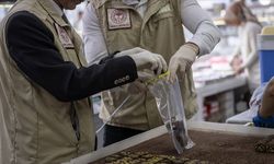 Şubatta 110 bin 106 gıda denetimi gerçekleştirildi