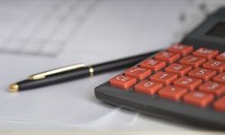 İç borçlanma stratejisi açıklandı