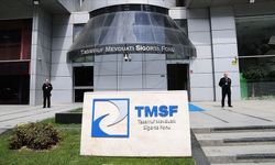 TMSF dört ticari ve iktisadi bütünlüğü satışa çıkardı
