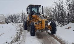 Bazı illerde kar etkili oldu