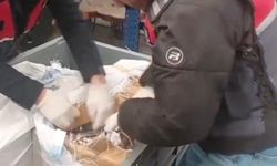 Sosyal medya üzerinden uyuşturucu satanlara yönelik operasyonlarda 99 şüpheli tutuklandı