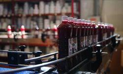 Adana şalgam suyunun AB'den tescil alması üreticilerin yüzünü güldürdü