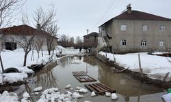 Yüksekova'da biriken kar eriyince evlerin bahçeleri su ile doldu