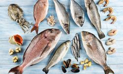 Levrek ihracatta liderliğini sürdürdü