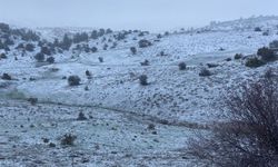Beypazarı'nın yüksek kesimlerinde kar yağışı etkili oldu