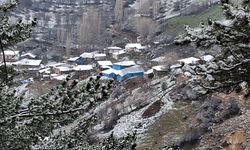 Beypazarı’nın yüksek kesimlerinde nisan karı etkili oldu