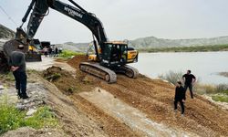 Nallıhan Kuş Cenneti'nde ziyaretçiler için iyileştirme çalışması yürütülüyor