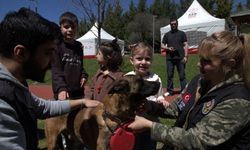 Gölbaşı'nda uçurtma şenliği düzenlendi