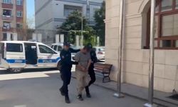 Avcılar’da köpeğine kemerli şiddet uygulayan kişi yakalandı