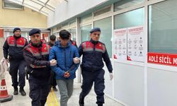 Bağ evinde baltalı-kazmalı cinayette 2 sanığa hapis cezası