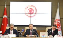 Oktay: TBMM Genel Kurulu’nda bekleyen 113 teklif kanunlaşmazsa 'kadük' olacak