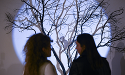 "Can Kaybı Yok" sergisi CerModern'de açıldı