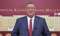 Gürer: Süt üreticisi zararına üretim yapıyor