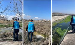 Haşereyle mücadele aralıksız sürüyor