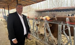 Gürer: “Artan maliyetler süt üreticisini bitiriyor”