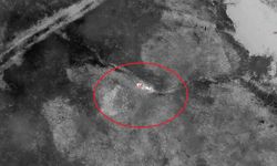 Kaybolan gebe inek, doğum yapmış halde AFAD ekiplerince bulundu