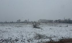 Malatya'da kar yağışı etkili oldu