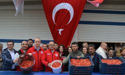 Manisa'da sezonun ilk kirazı 6 bin TL'den satıldı