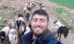 Mardin’de silahlı saldırıya uğrayan çoban öldü