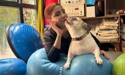 Obez köpek 'Ori' pilatesle zayıflıyor