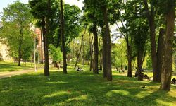 Ankara'da bahar rotası: Nereye gitmeli?