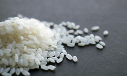 TMO'dan 'Yunanistan menşeli pirinç' iddialarına yanıt