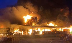 5 DÜNYA ŞAMPİYONLUĞU, 3 OLİMPİYAT MADALYASI VAR