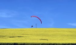 Sarı renge bürünen kanola tarlası üzerinde paramotorla uçtu