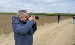 Tekirdağ'da kanola tarlasında foto safari düzenlendi