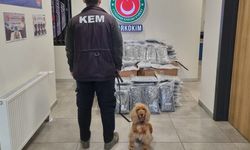 Gümrükler Muhafaza ekipleri, 2 ayrı operasyonda 420 kilogram uyuşturucu ele geçirdi