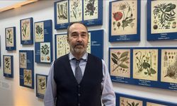 Erzurum'daki Biyoçeşitlilik Bilim Müzesi'nde tıbbi bitki ve kuş sergisi