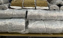 Türkiye ile Suriye'nin ortak operasyonunda 236 kilogram marihuana ele geçirildi