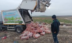 Uygunsuz koşullarda taşınan 1,6 ton sakatat imha edildi