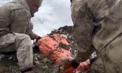 Van ve Hakkari'de 446 kilo uyuşturucu ele geçirildi: 8 gözaltı