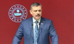 Bakan Çiftçi: Gaziantep ve Şanlıurfa'daki afetlerle ilgili 150 milyon lira gönderildi